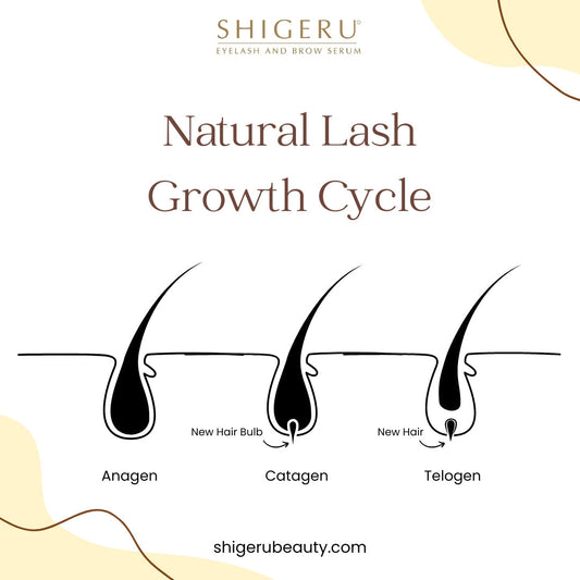 Why Your Lash Extensions Aren’t Lasting? It Might Be Your Natural Lash Health