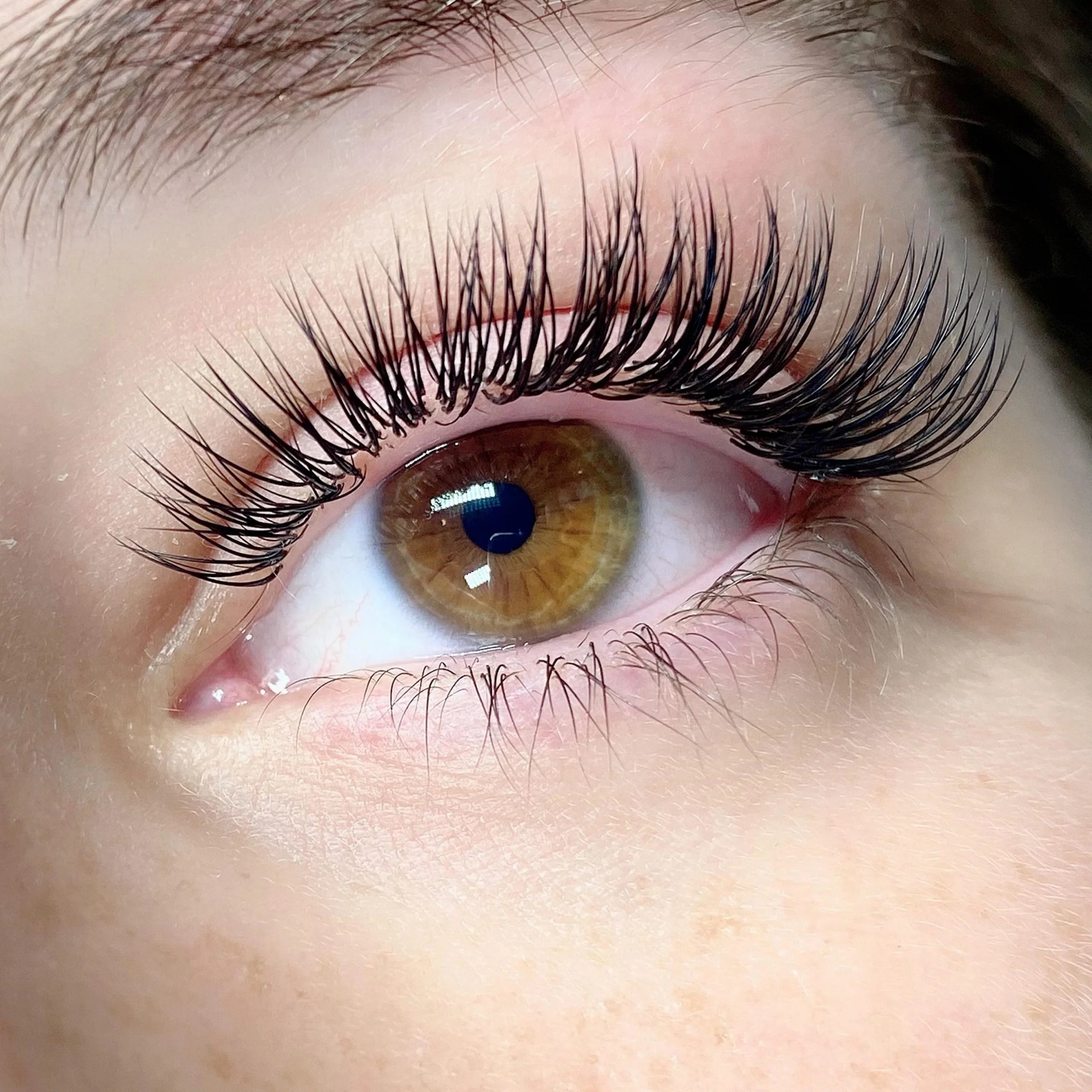 Lash Image