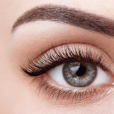 Lash Image